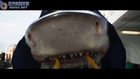 深海狂鲨3 豆瓣图片